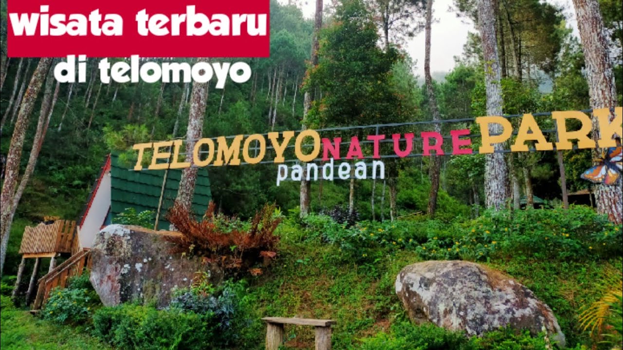 Telomoyo Nature Park: Pesona Alam dan Aktivitas Menarik